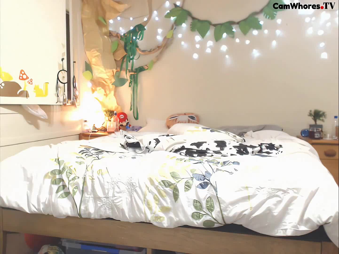 Video 1171574 from ForestNymph / Forest_Nymph