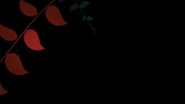 Video 1198435 from Naya Fire / naya_fire