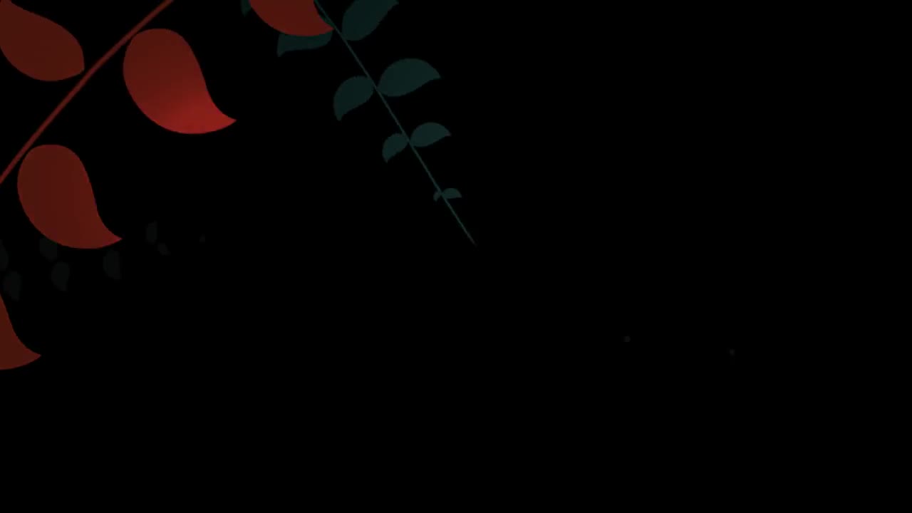 Video 1198434 from Naya Fire / naya_fire