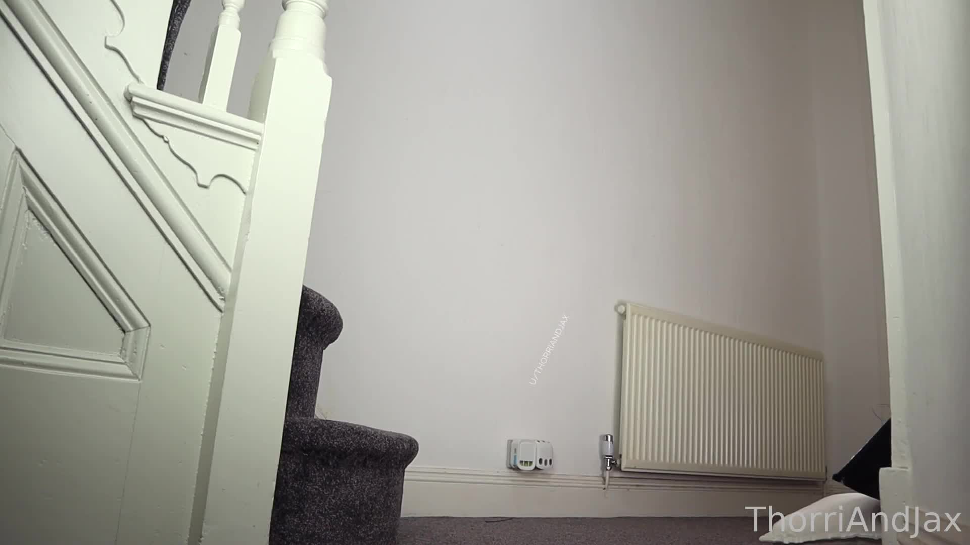 Video 1201224 from thorriandjax