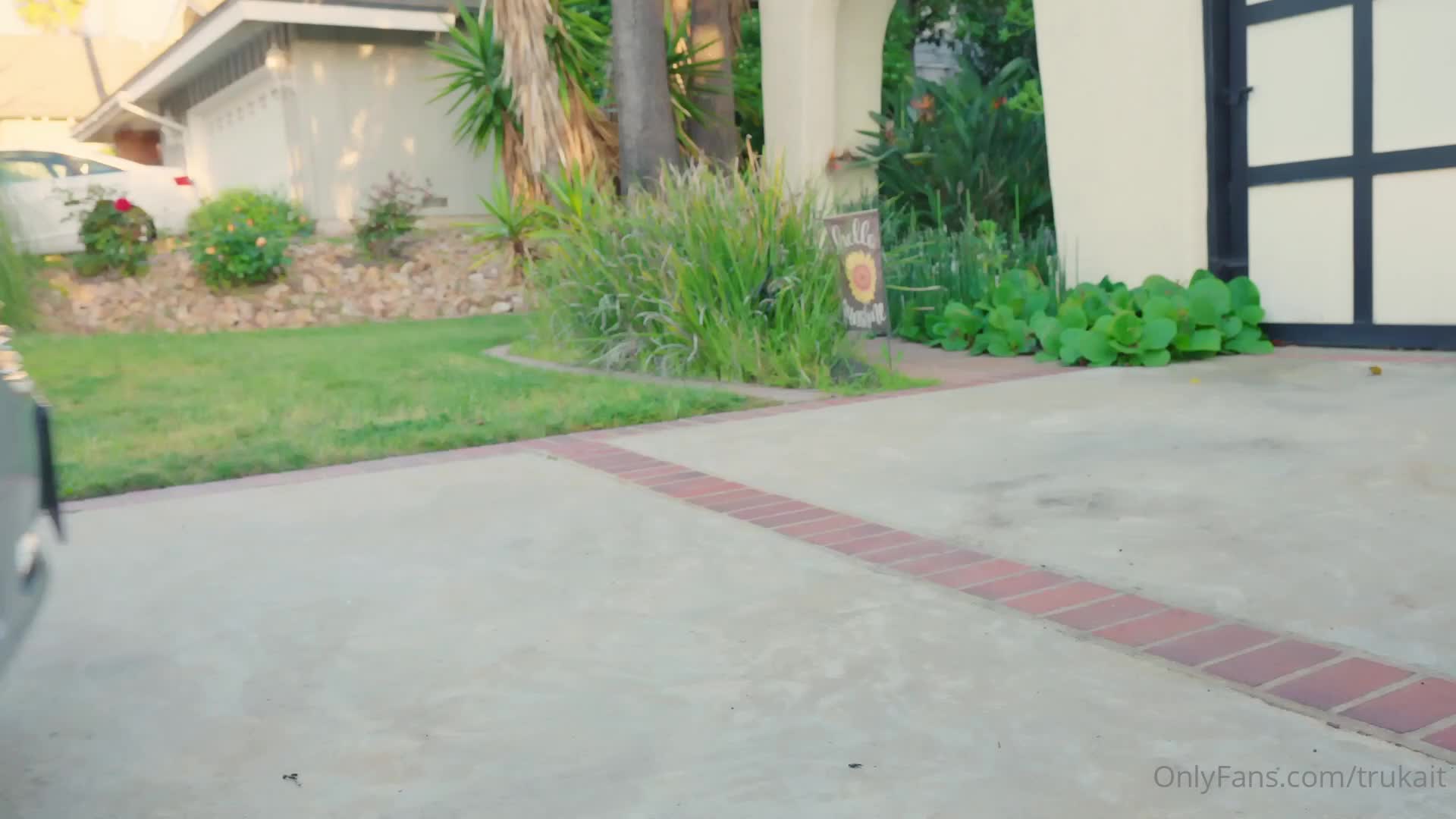 Video 1202509 from Tru kait