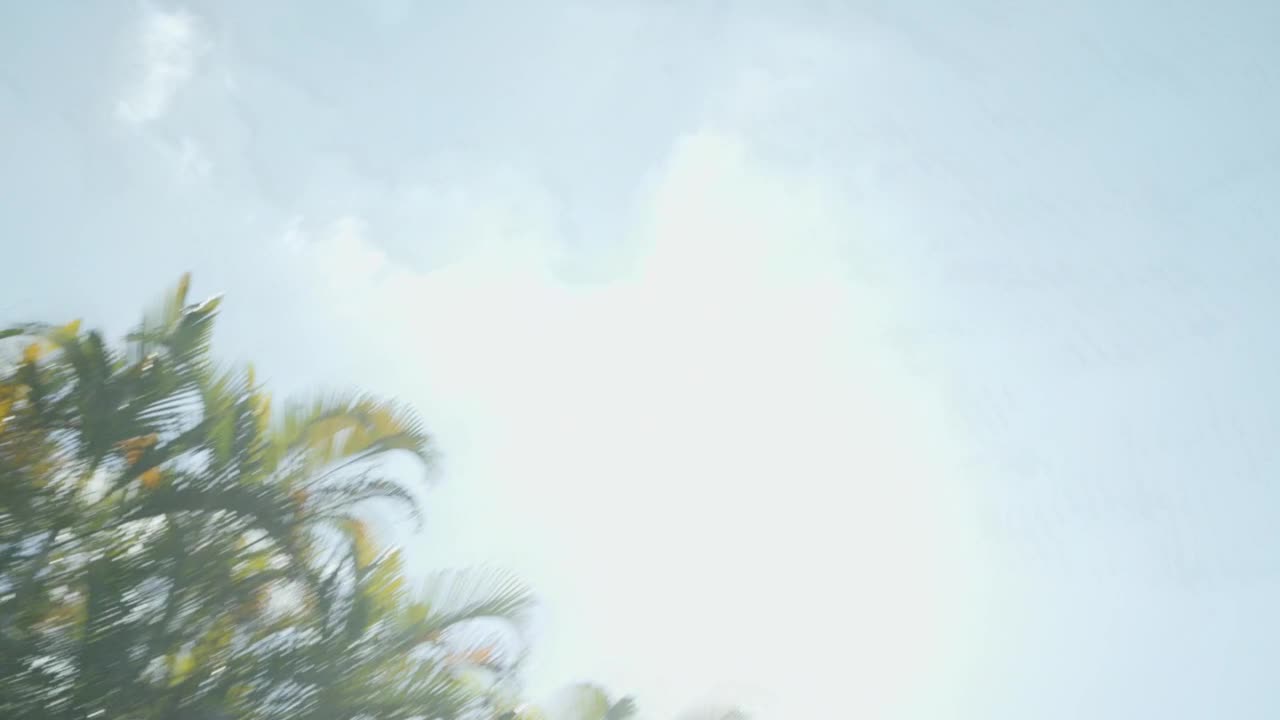 Video 1203620 from Kali Roses