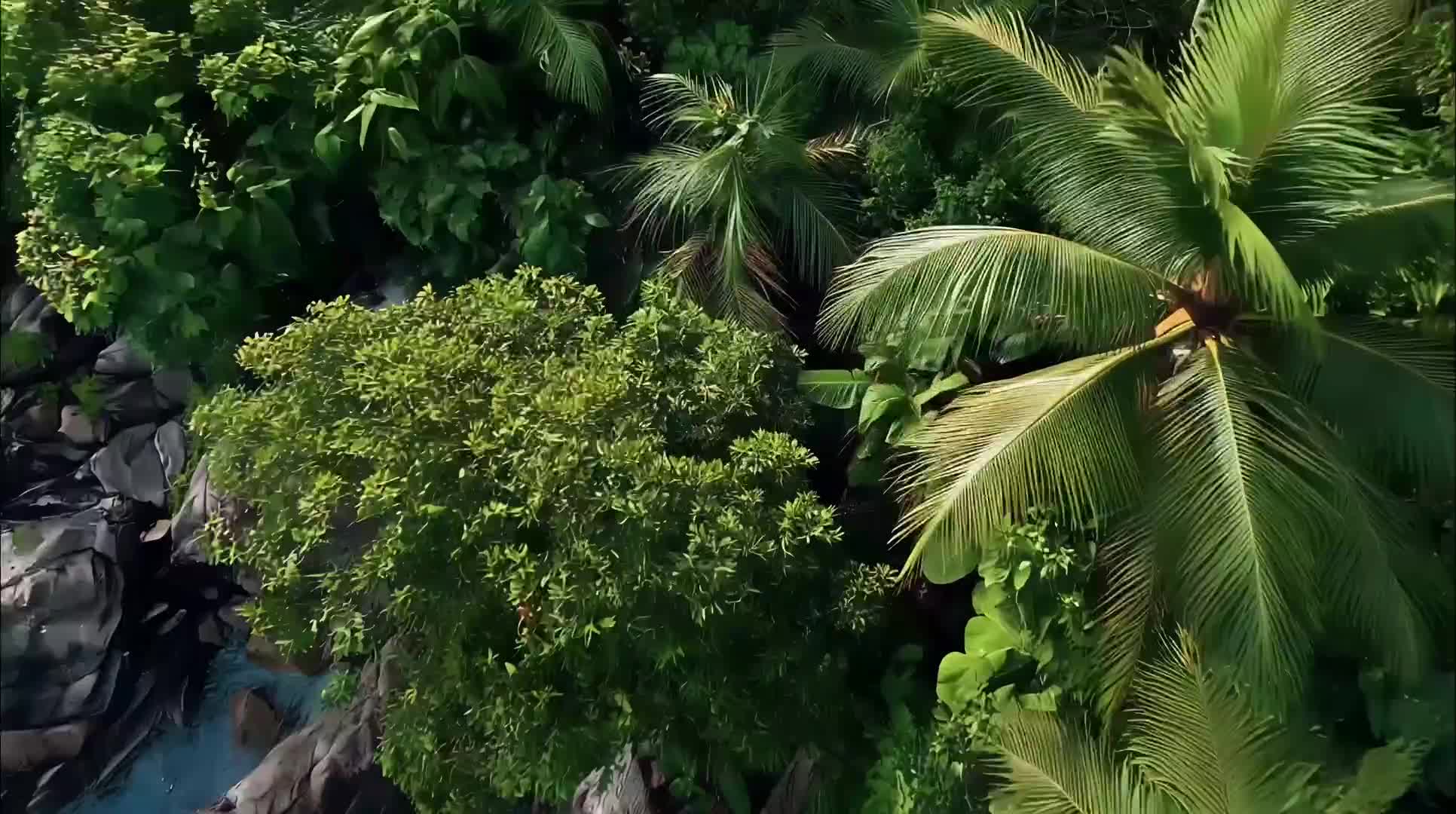 Video 1304073 from Octokuro