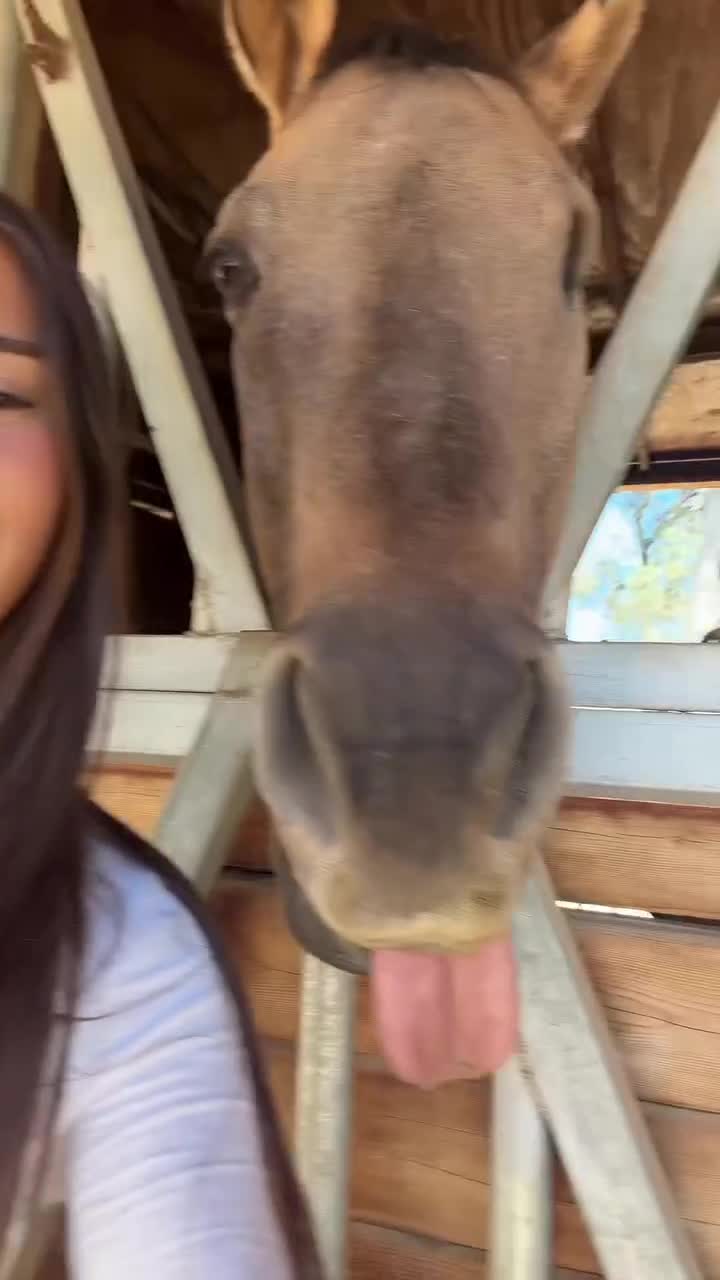 Video 1304616 from Malayaax - Sophieraiin