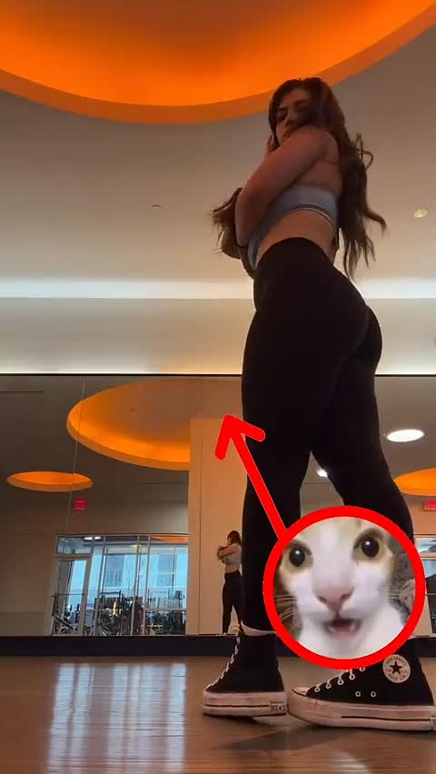 Video 1307496 from Colleen Sheehan