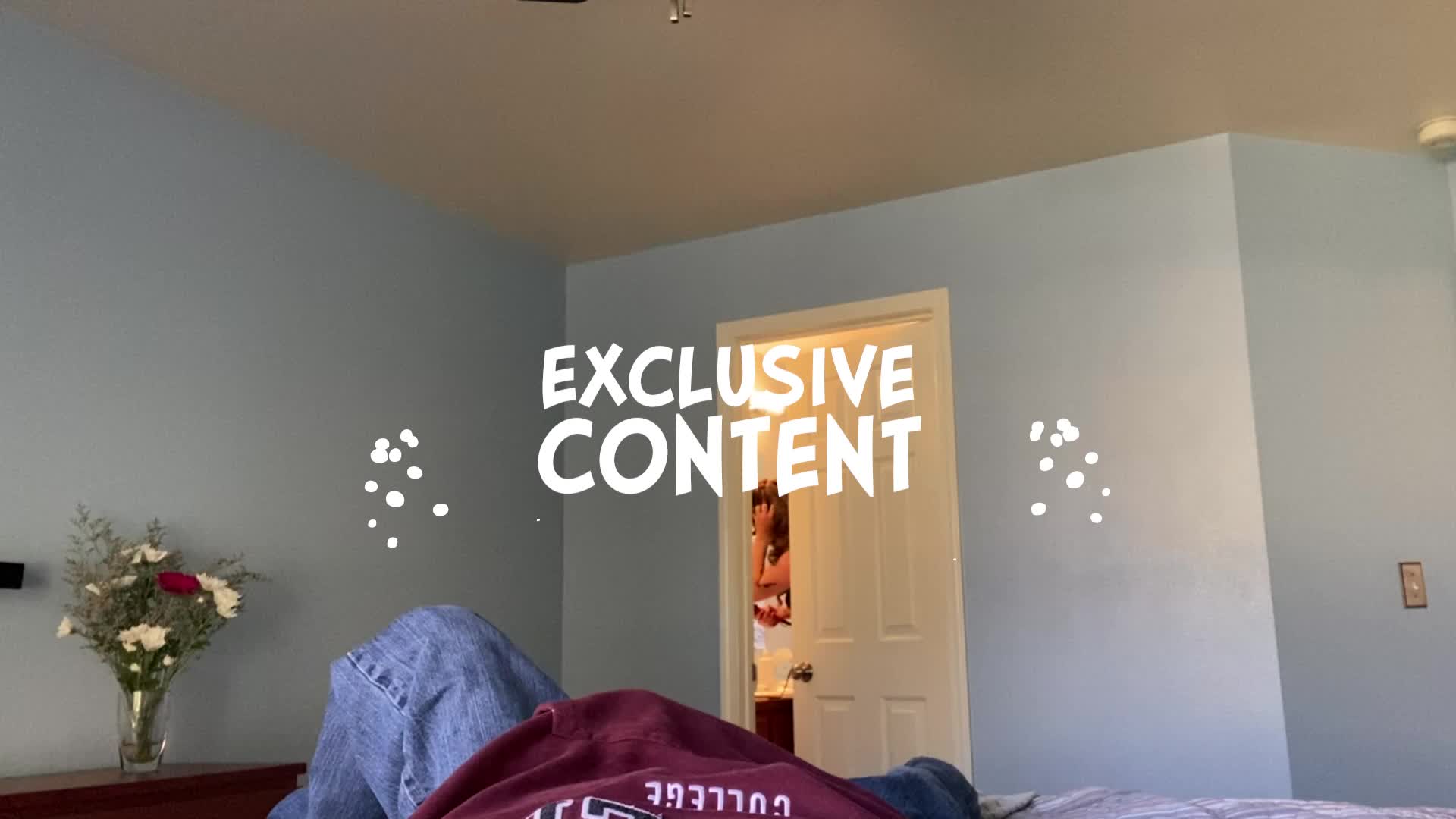Video 1308873 from Harper the Fox
