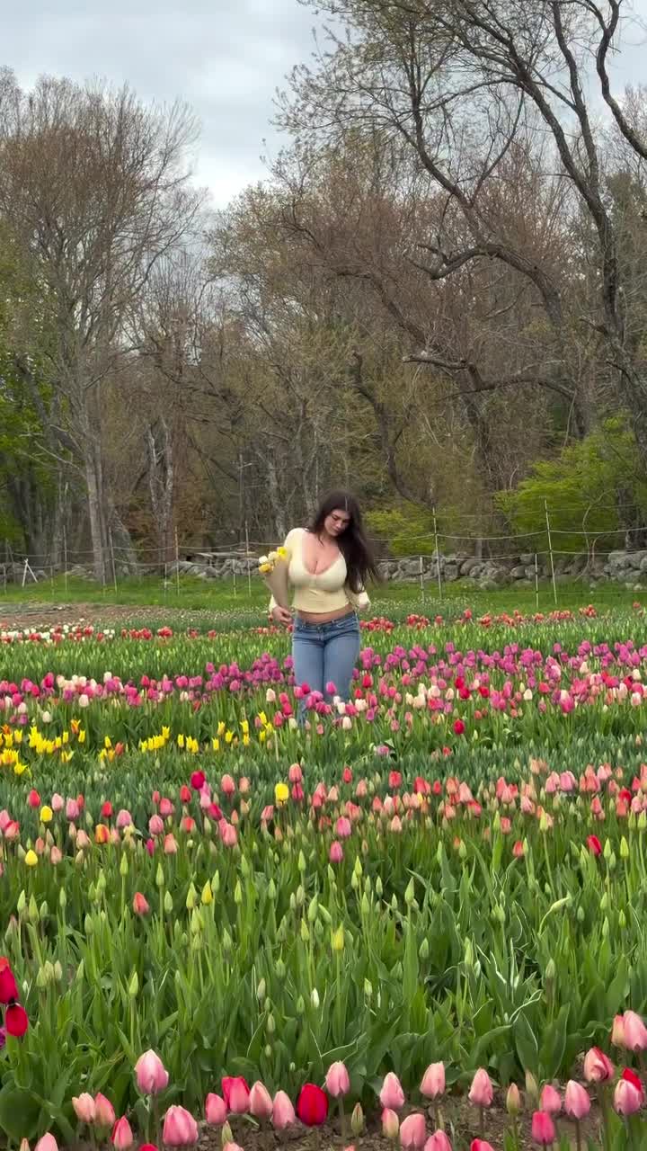 Video 1313633 from Colleen Sheehan