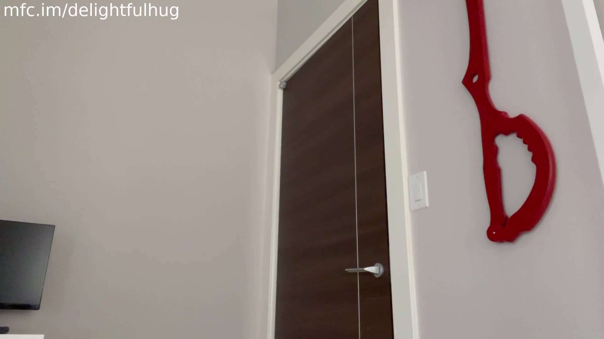 Video 1313896 from Delightfulhug