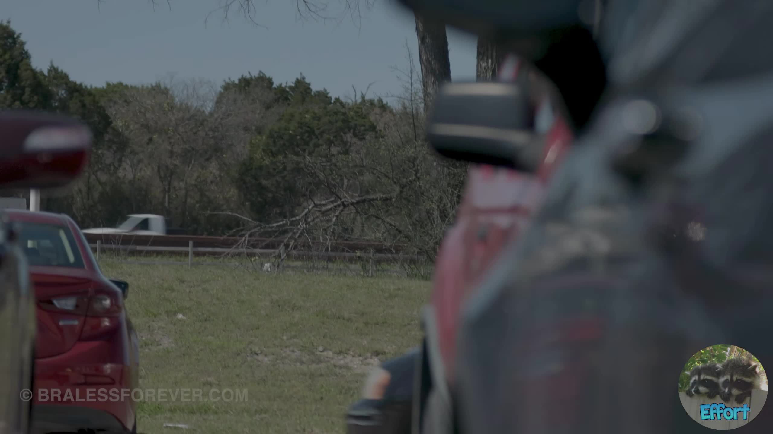 Video 1314016 from Bitchinbubba / bralessforever