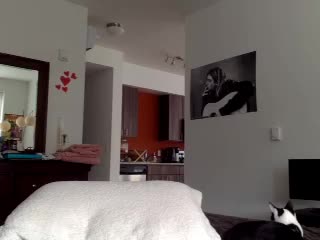 Video 1315197 from Delightfulhug