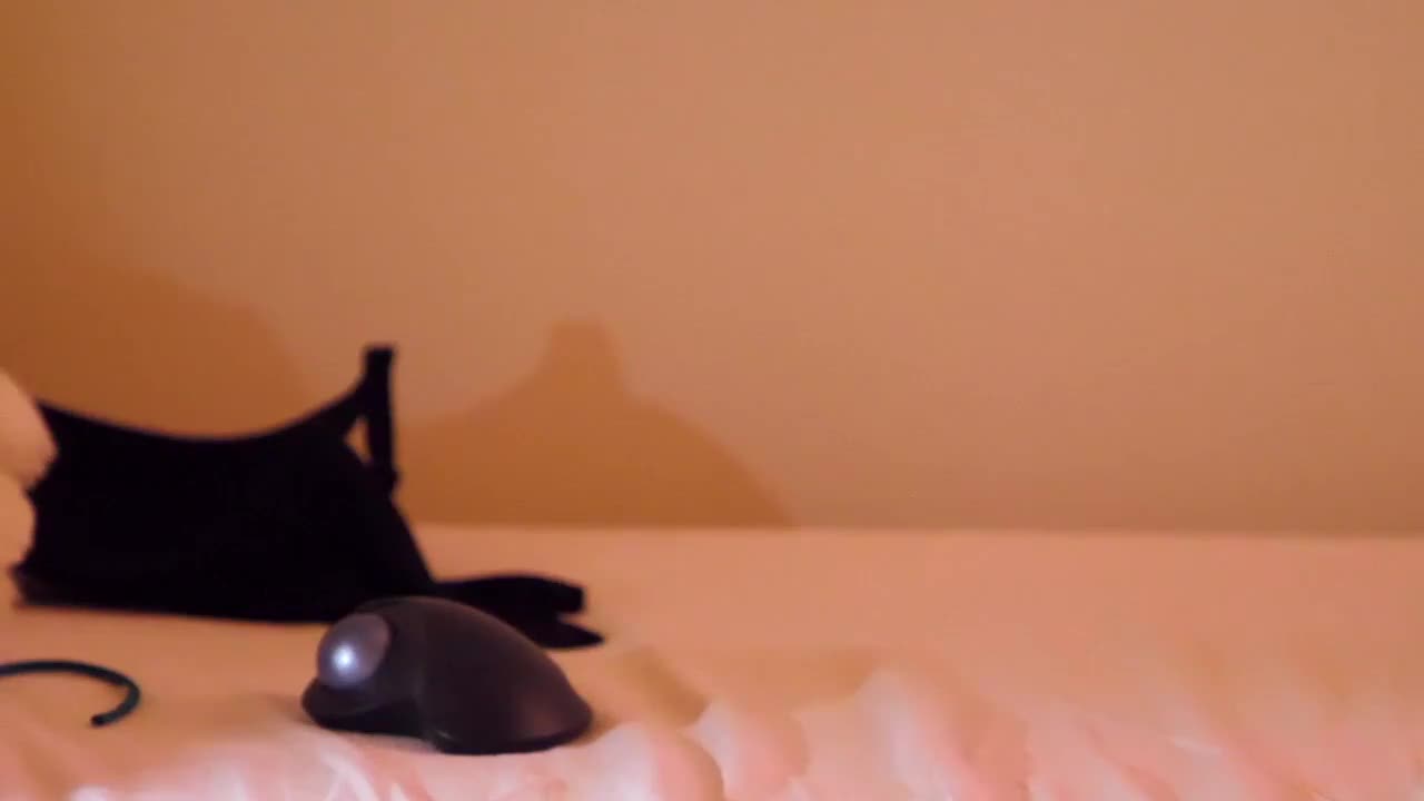 Video 1316348 from Kateelife/ Katee Owen
