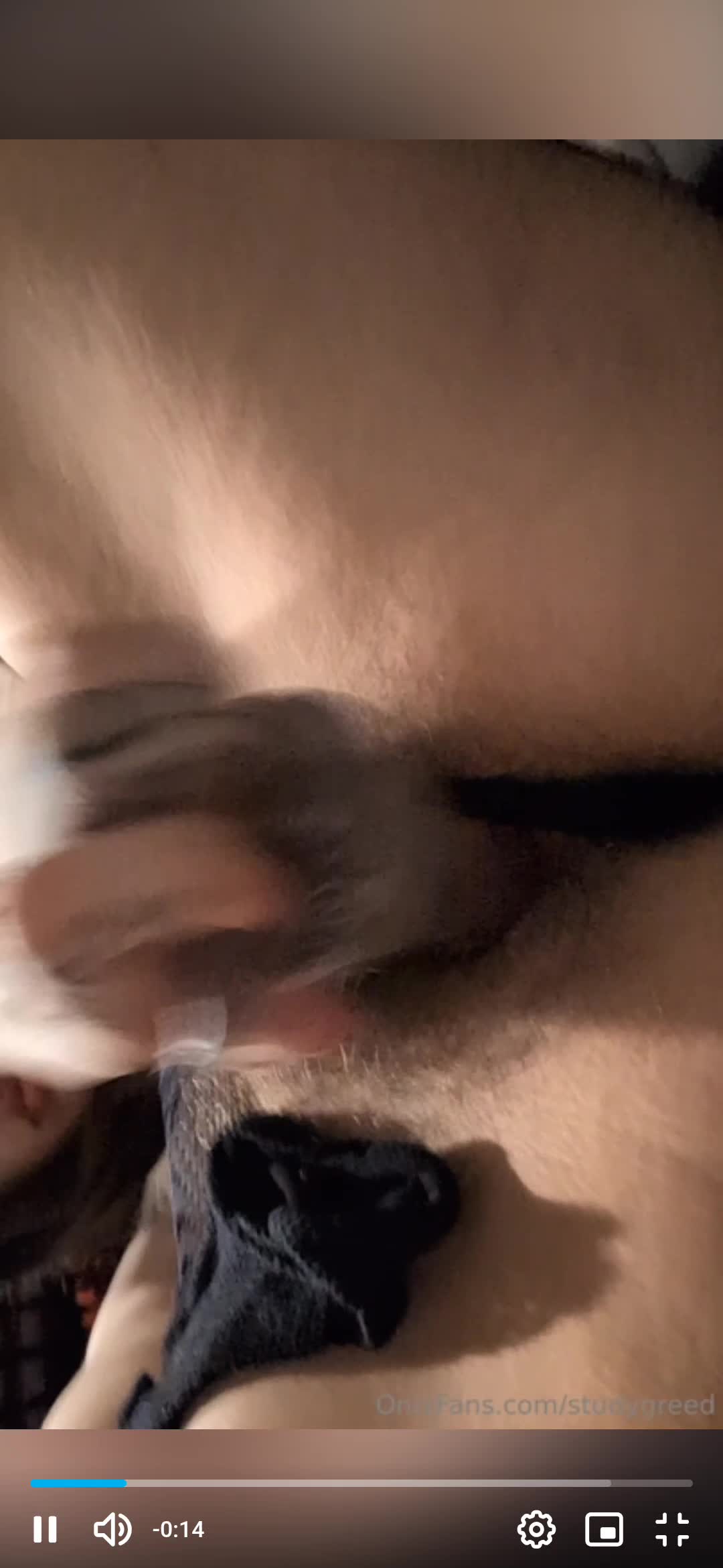 Video 1318957 from StudyGreed