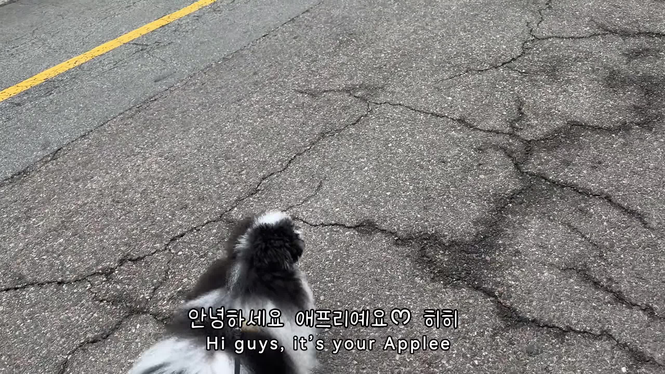 Video 1325790 from xxapple_e