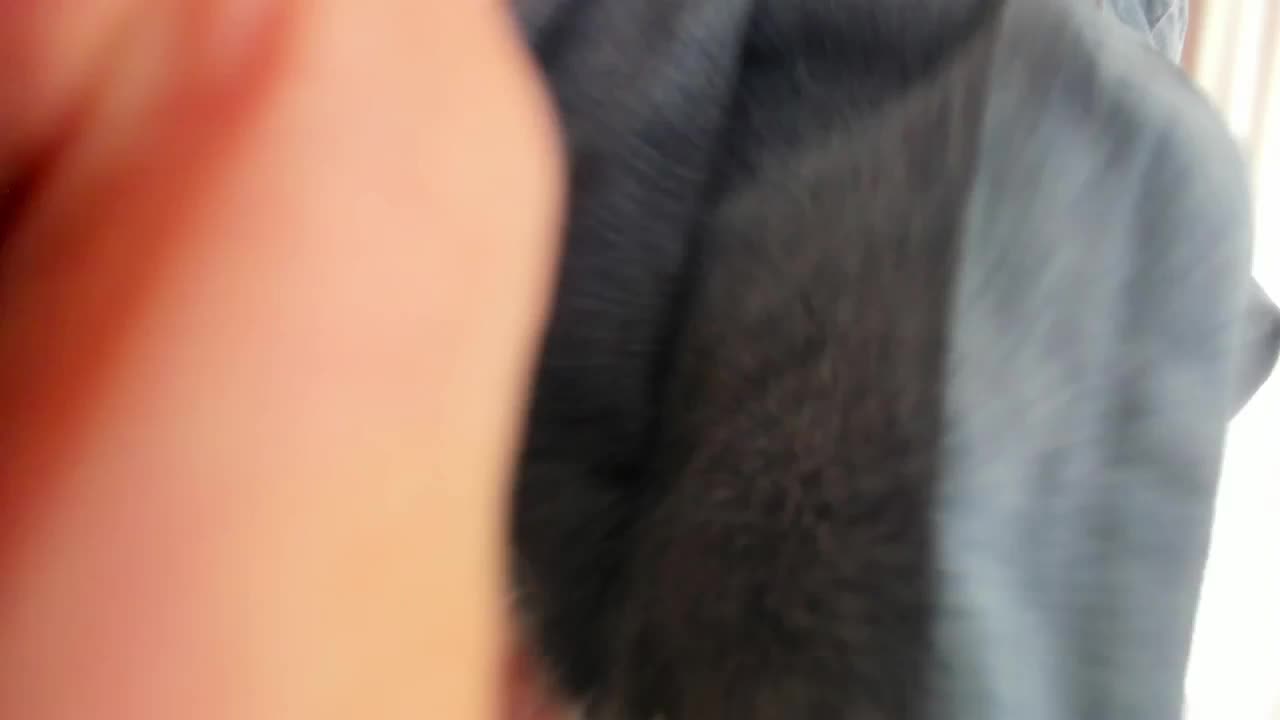 Video 1326676 from MissAlice | Alice NZ