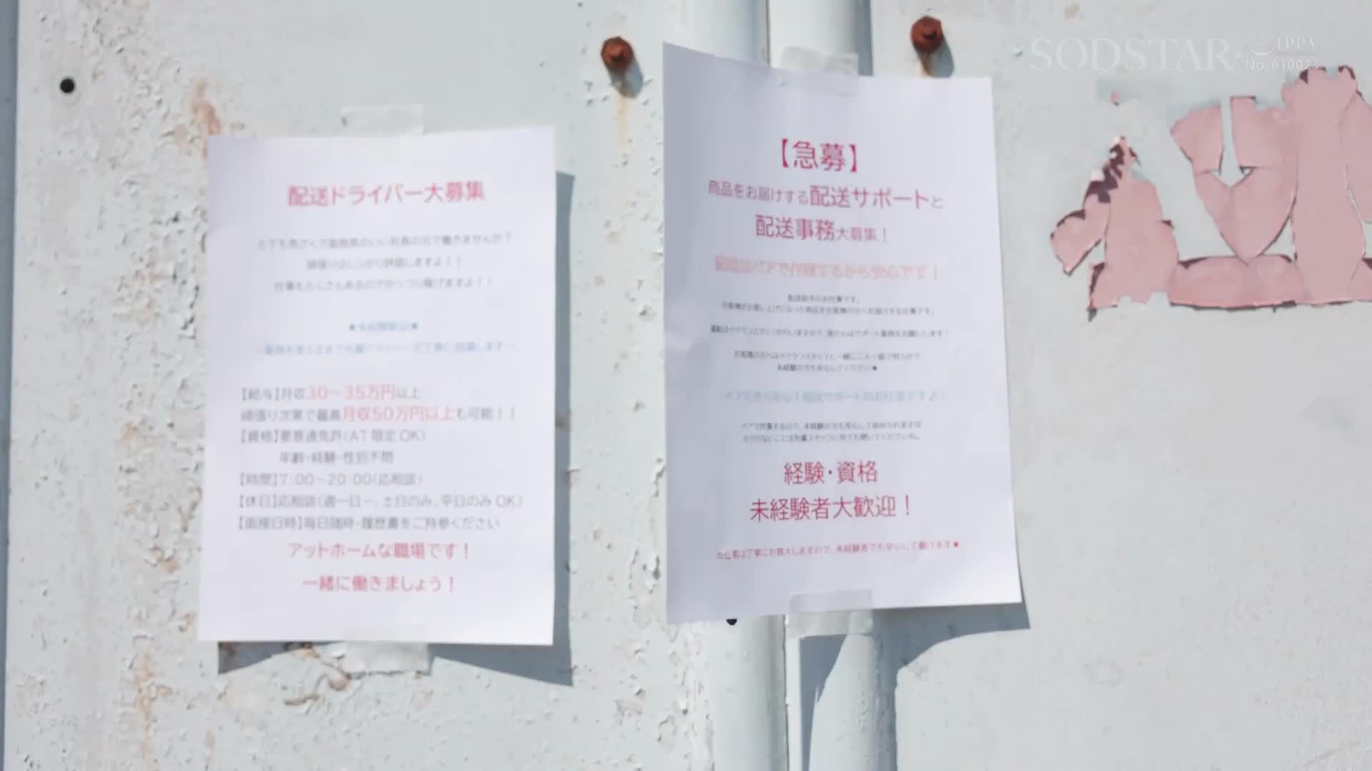 Video 1327156 from Hikari Aozora