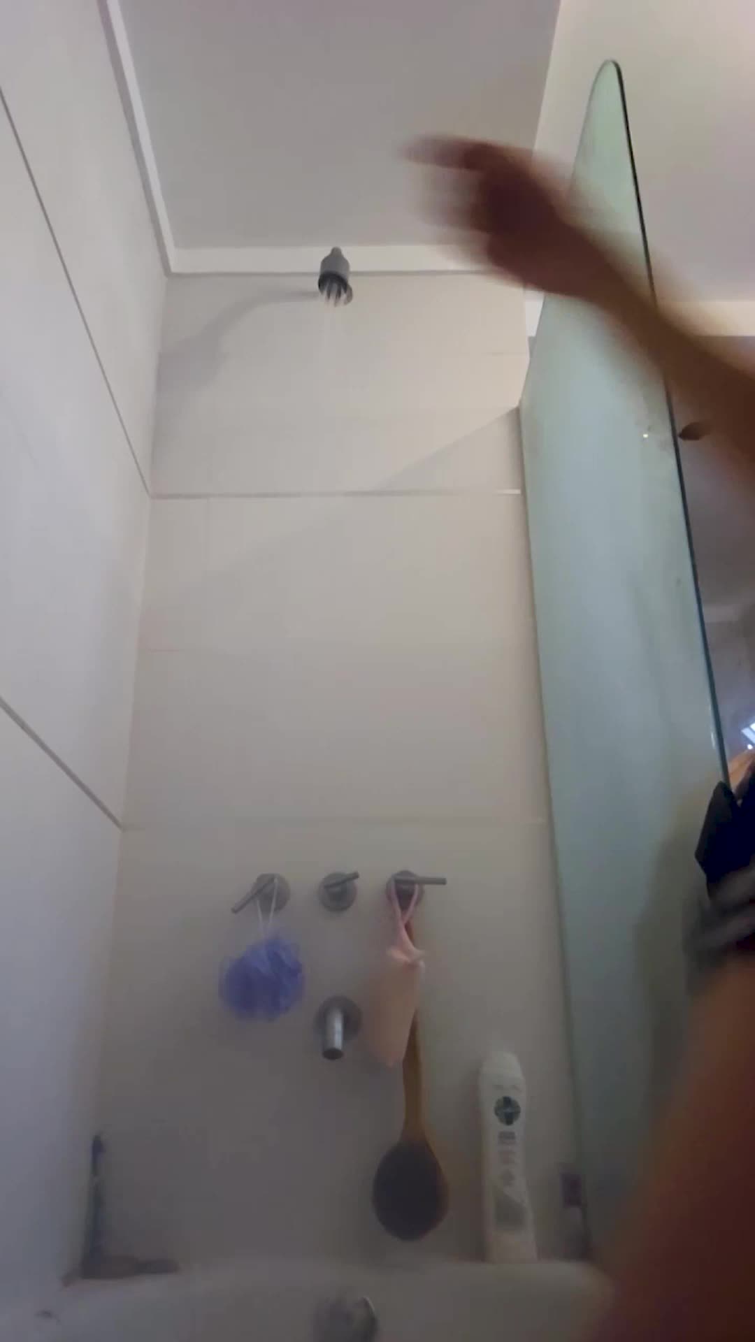 Video 1327850 from Daniela bassadre