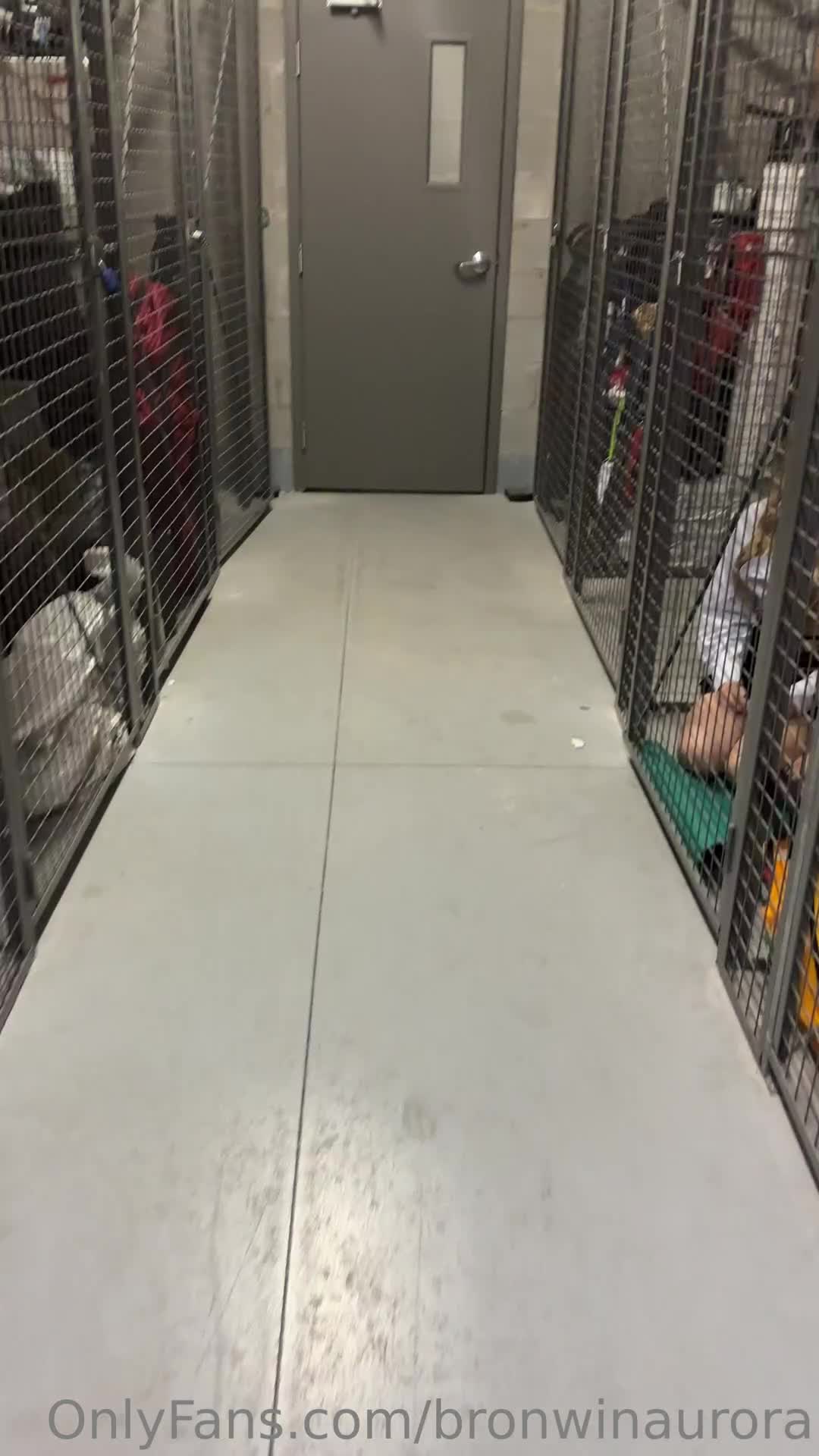 Video 1330580 from Quinn Finite / Charlee