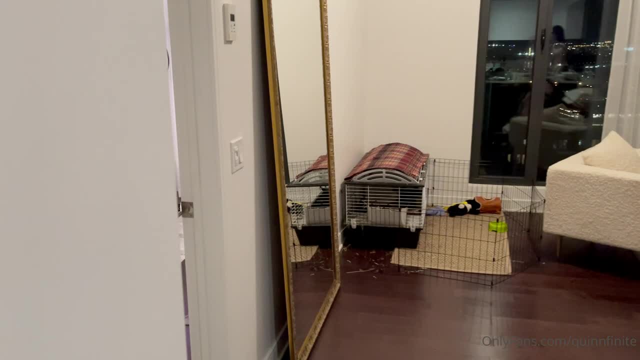 Video 1330966 from Quinn Finite / Charlee