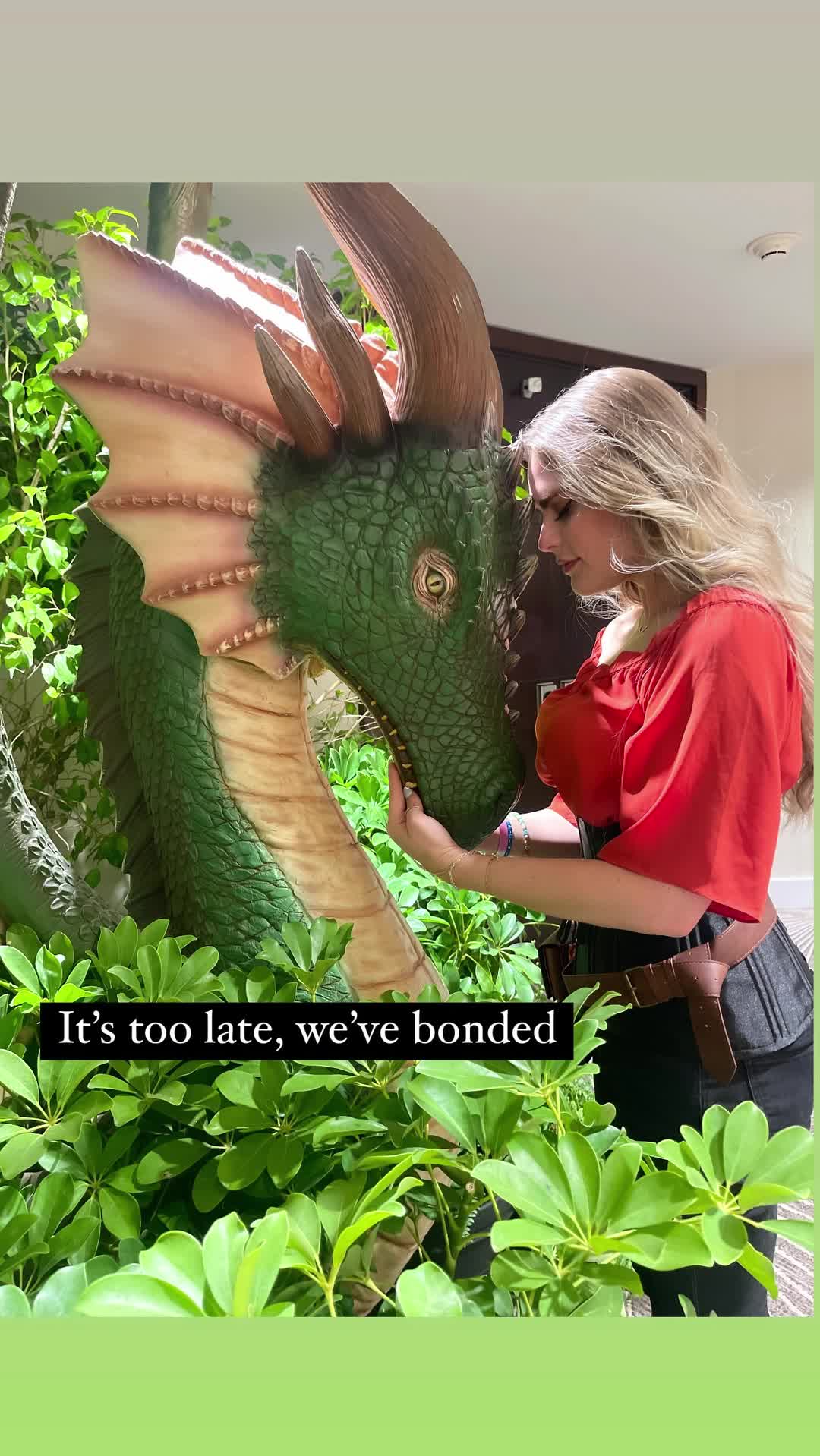 Video 1331422 from Sara Hopkins (Vine)