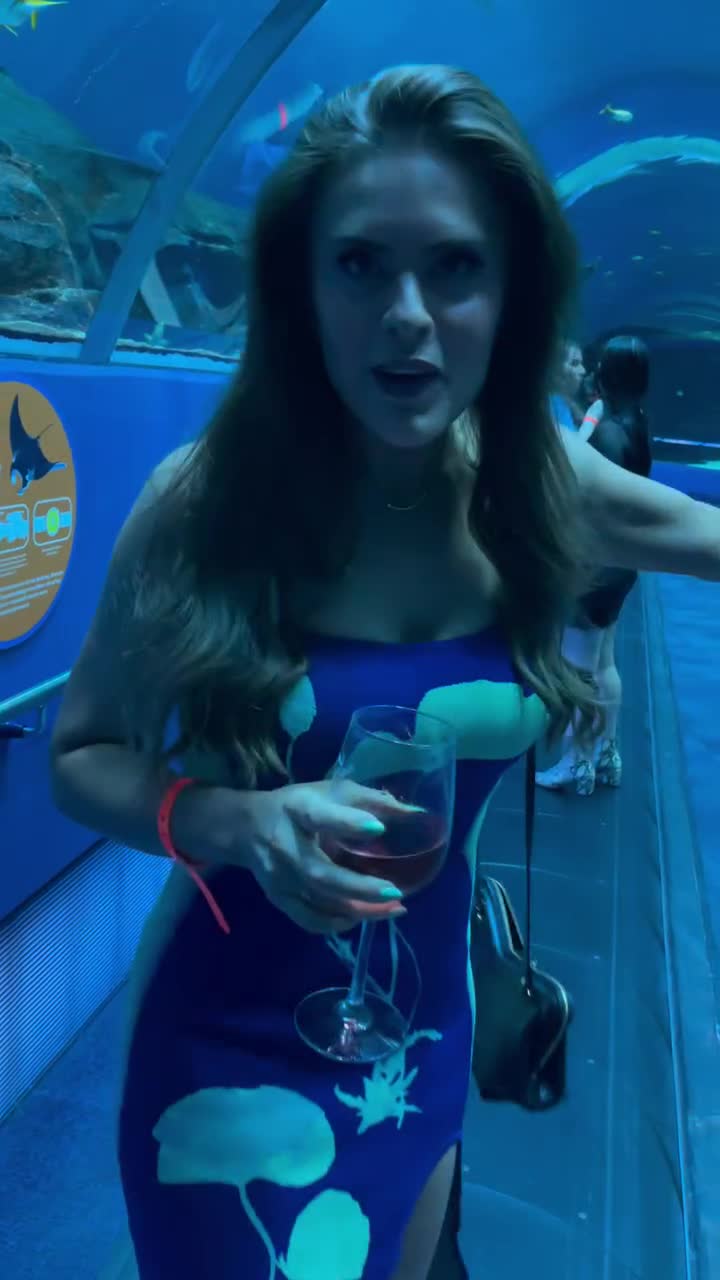 Video 1331454 from Sara Hopkins (Vine)