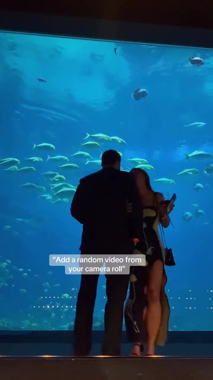 Video 1331455 from Sara Hopkins (Vine)
