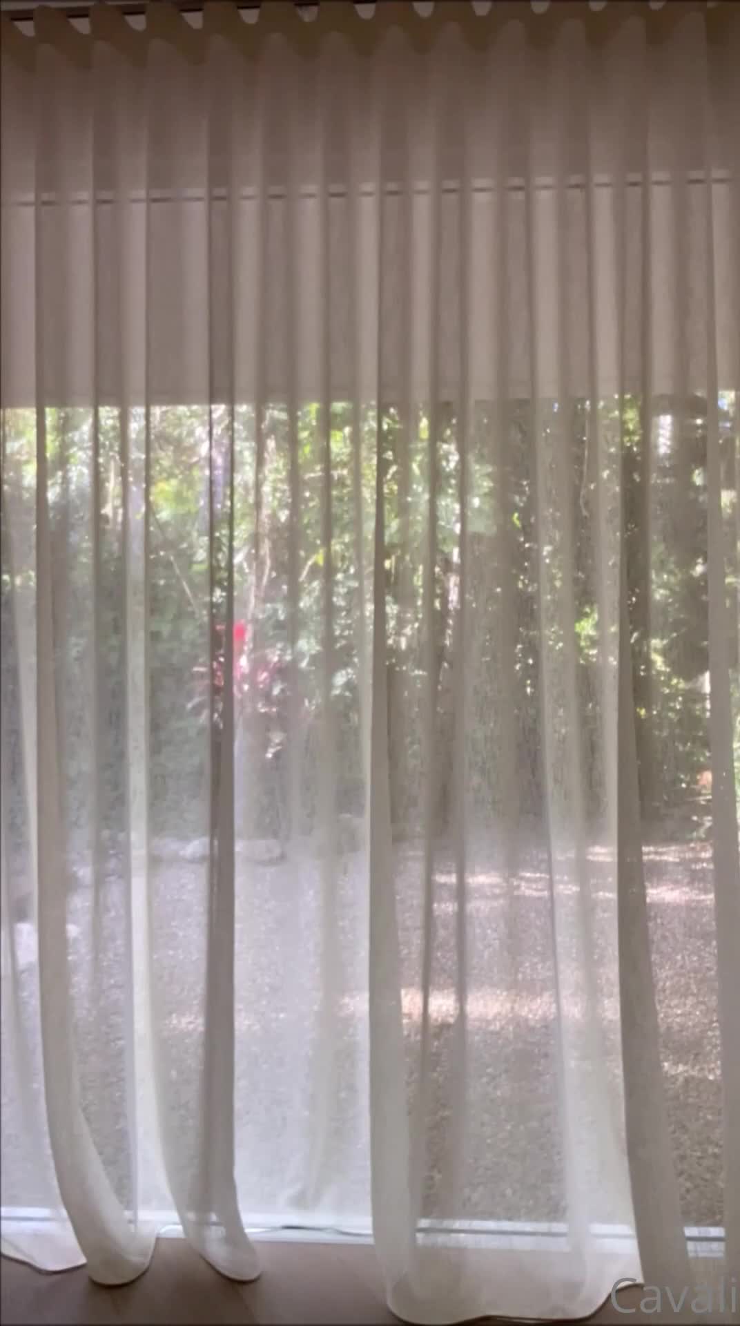 Video 1331807 from Lilith Cavaliere