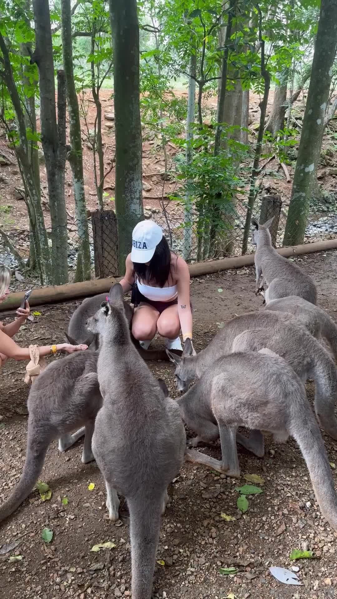 Video 1334555 from Vanessa.rhd / vanessarhd