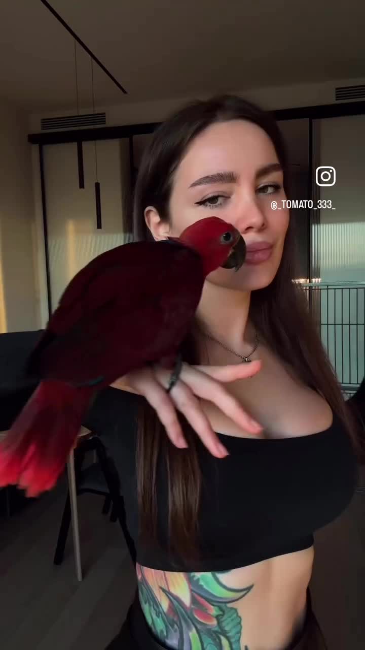Video 1335381 from Toma Zhdanova / _tomato_333_