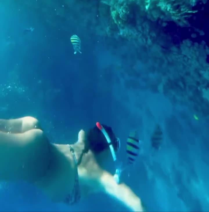 Video 1335882 from Sofia Cerio