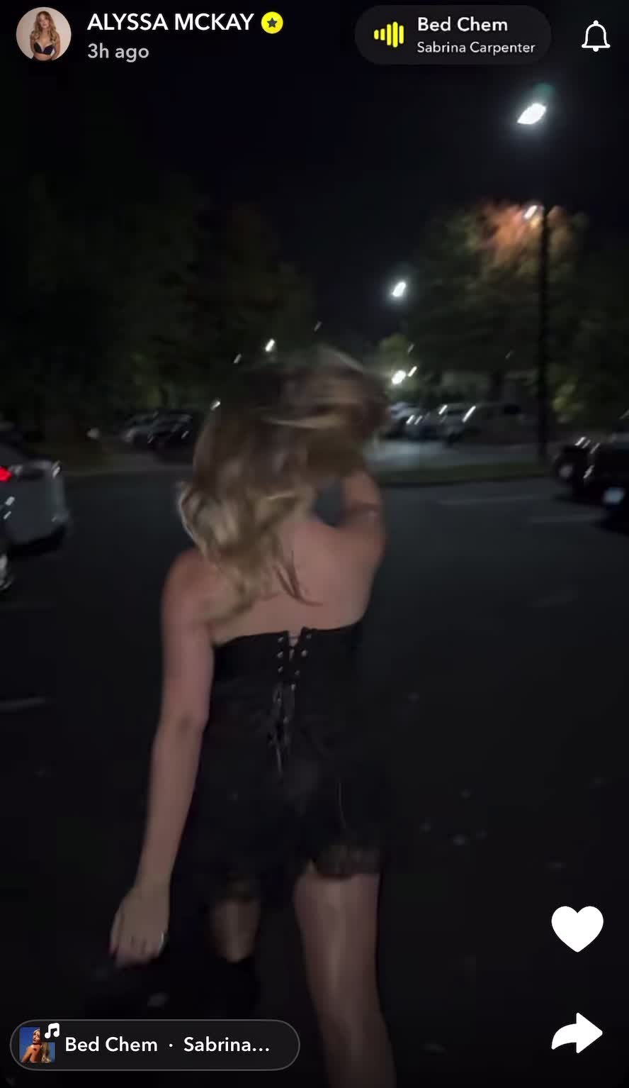 Video 1336938 from Alyssa Mckay