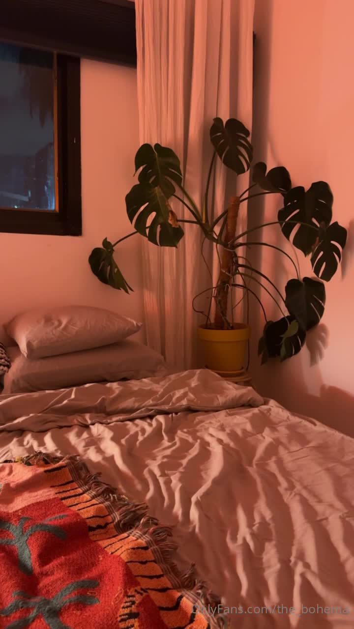 Video 1342029 from Dina Grinberg - The Bohema