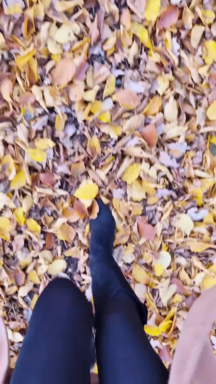 Video 1343297 from Ariadna Majewska / Ari Maj / ari_maj