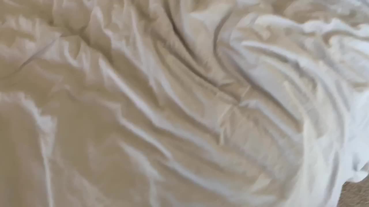 Video 1345444 from Janice Griffith