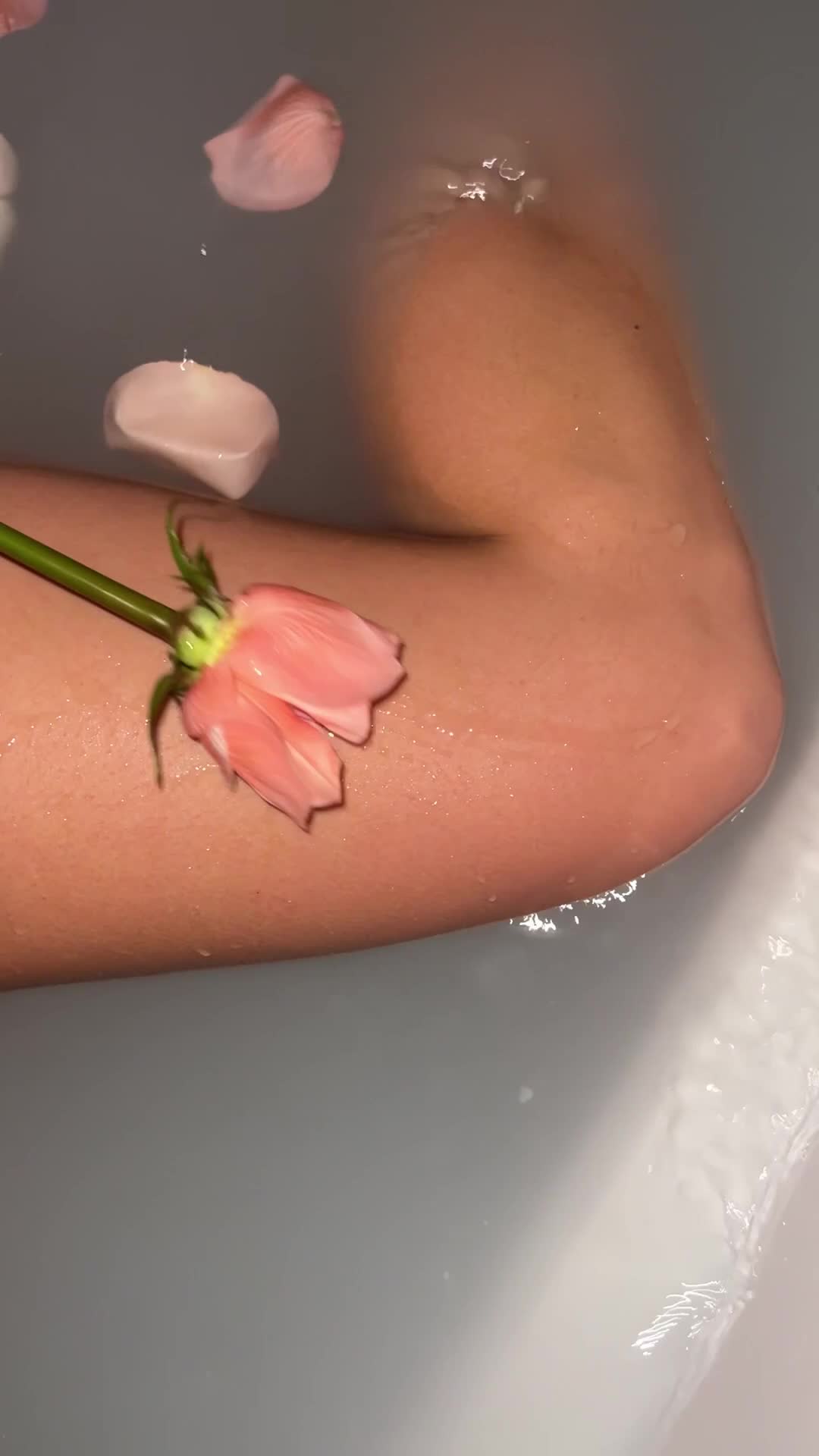 Video 1347878 from Rachel Cook