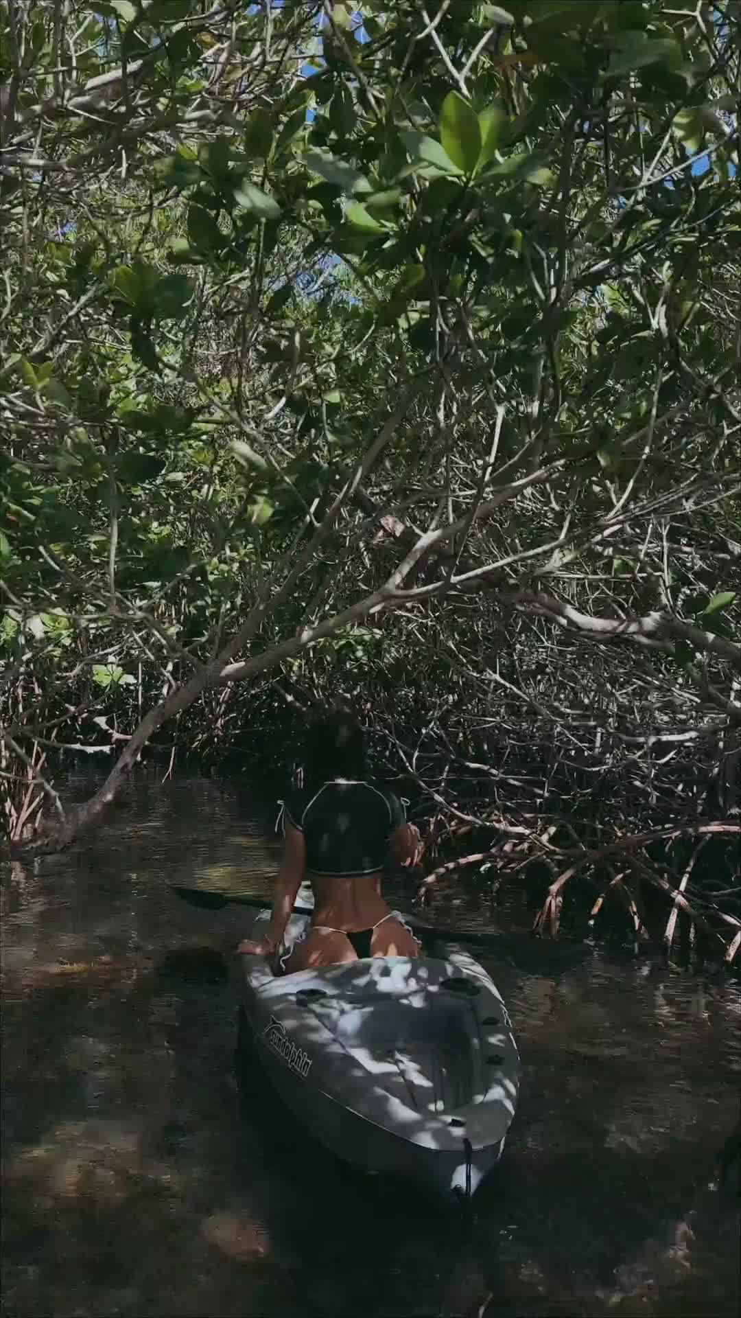 Video 1347907 from Rachel Cook