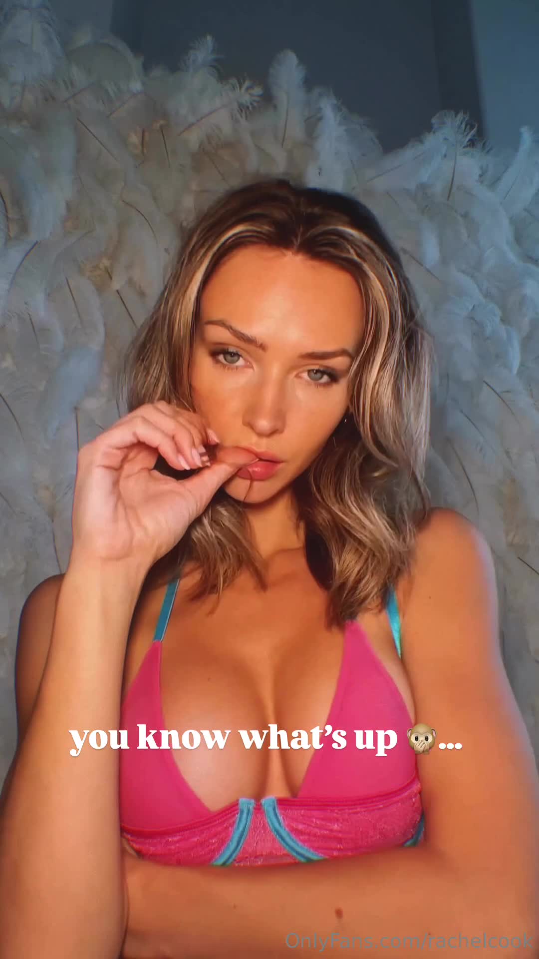 Video 1348306 from Rachel Cook