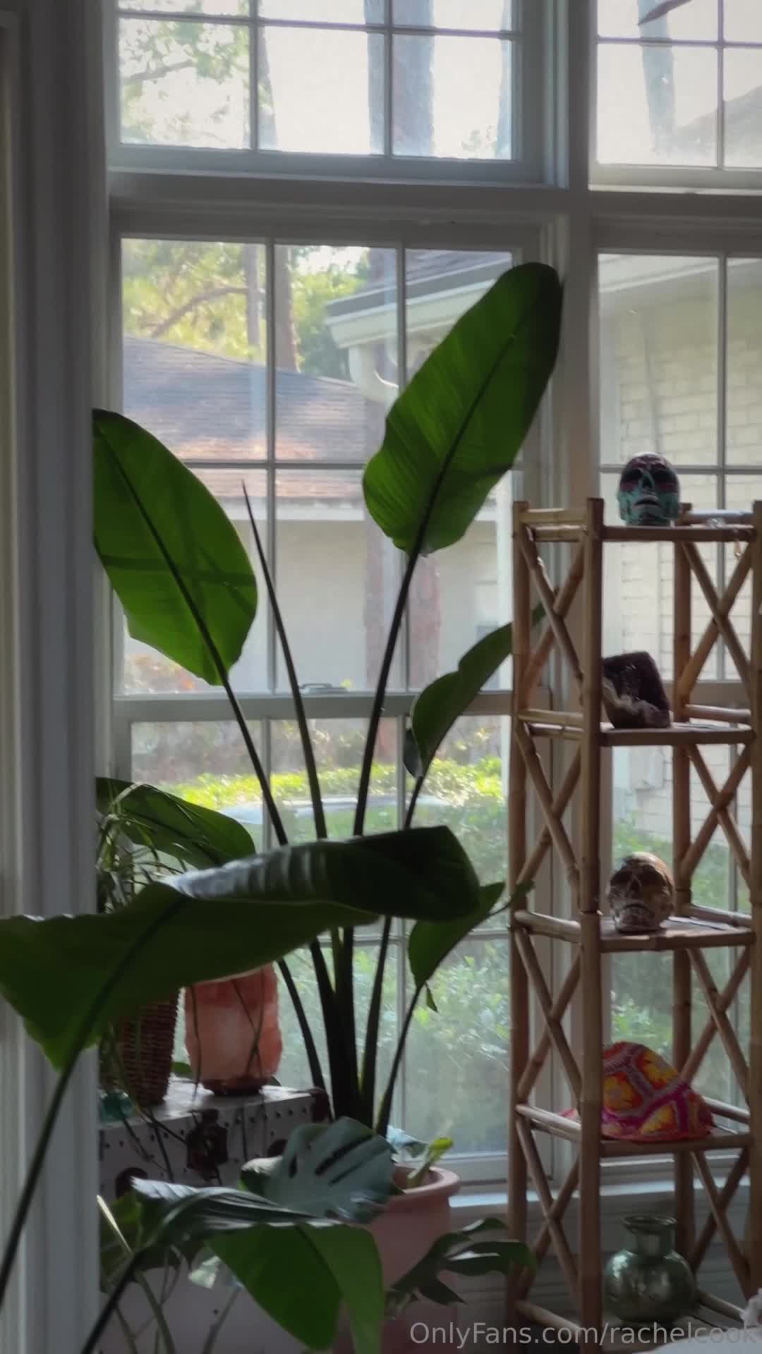 Video 1348610 from Rachel Cook