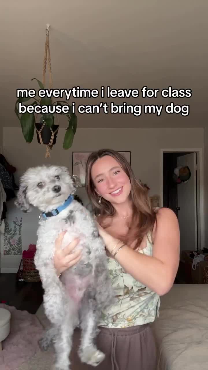 Video 1355213 from Devon Shae