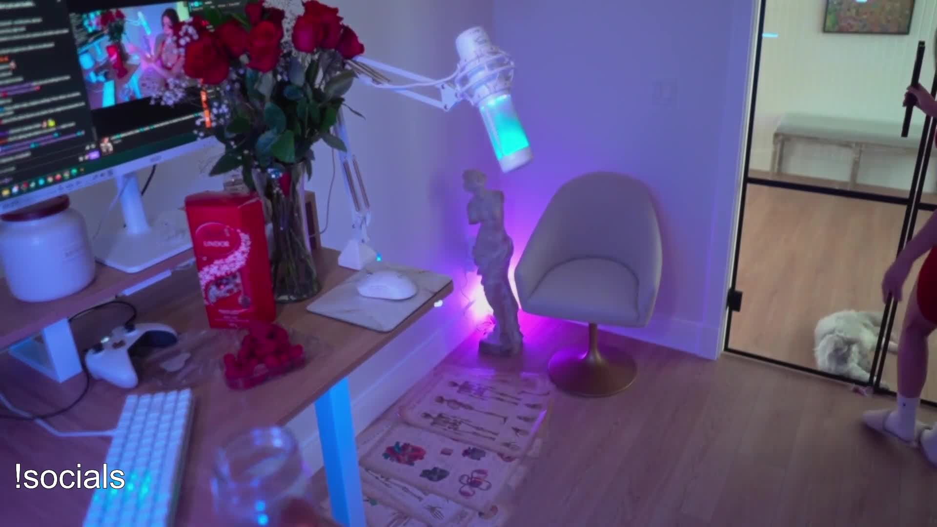 Video 1357376 from Mira / Mira_nowhere / Mira_twitch