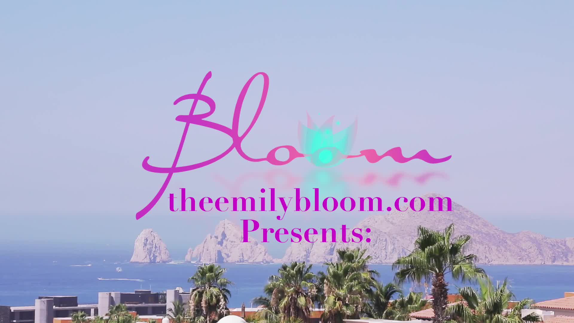 Video 1363240 from Emily Bloom