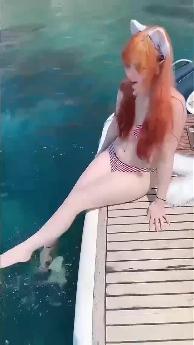 Video 1364040 from Caticornplay