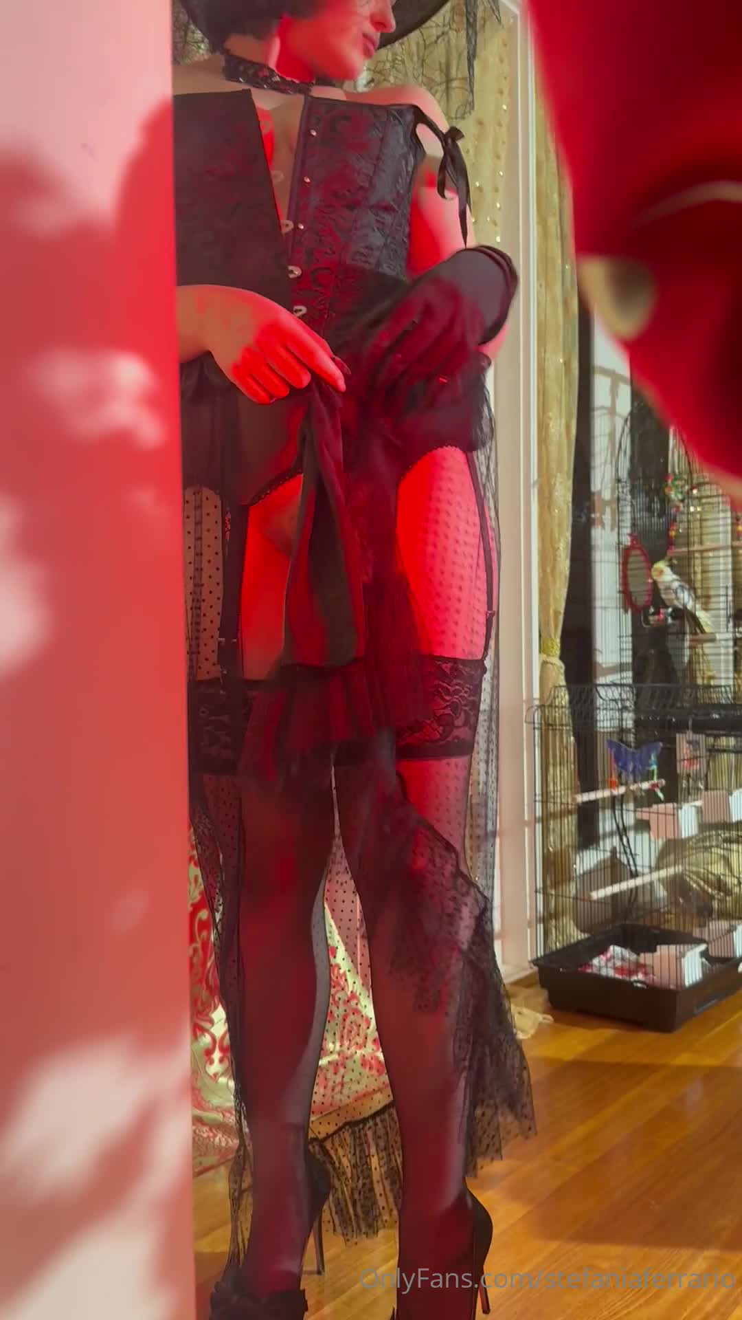 Video 1364278 from Stefania Ferrario