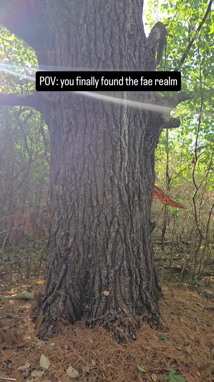 Video 1368376 from chimeracostumes