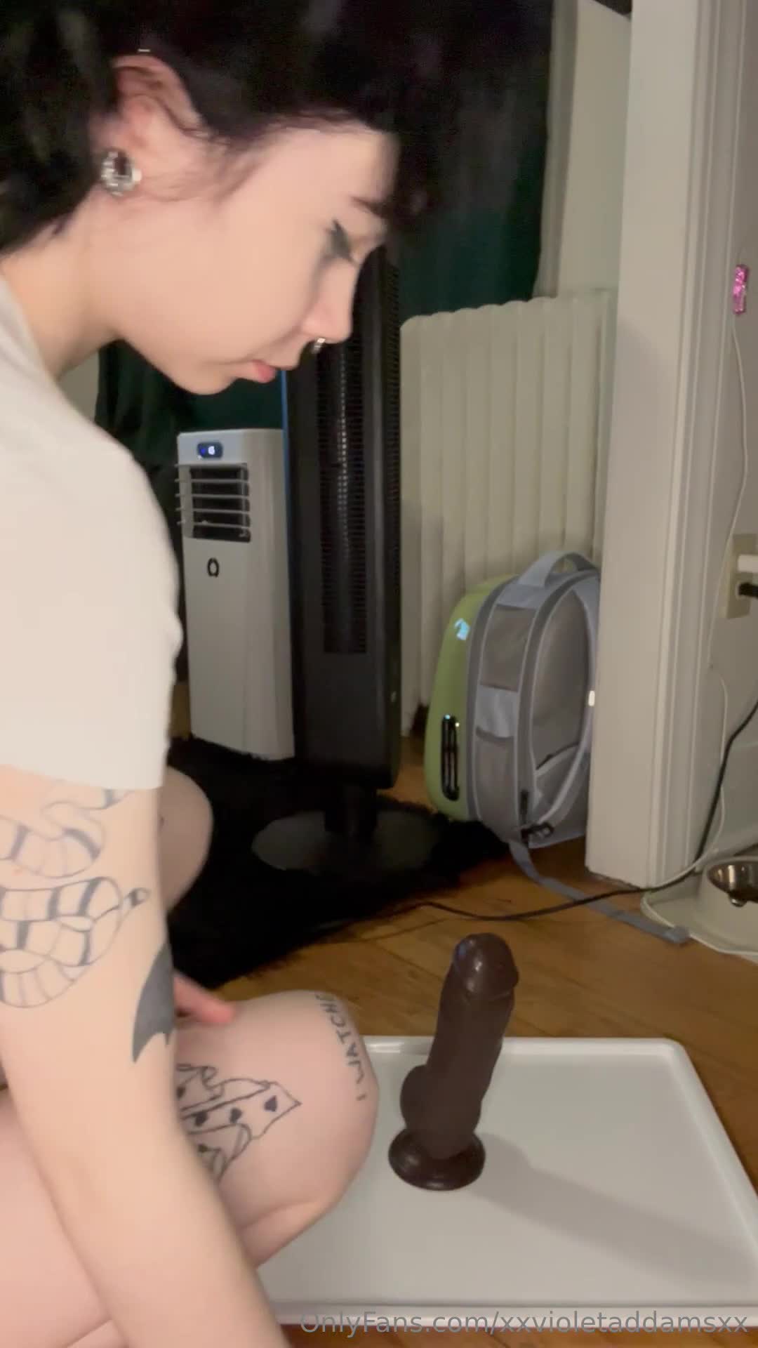 Video 1368743 from xxVioletAddamsxx