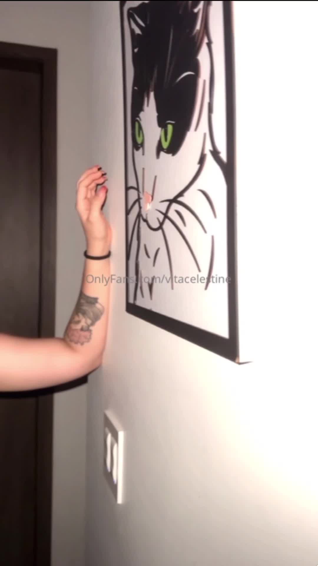 Video 1370093 from Vitacelestine