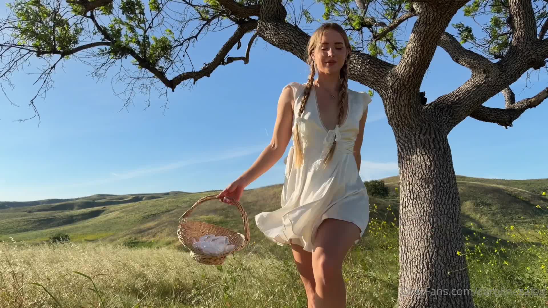 Video 1370760 from Caroline Zalog