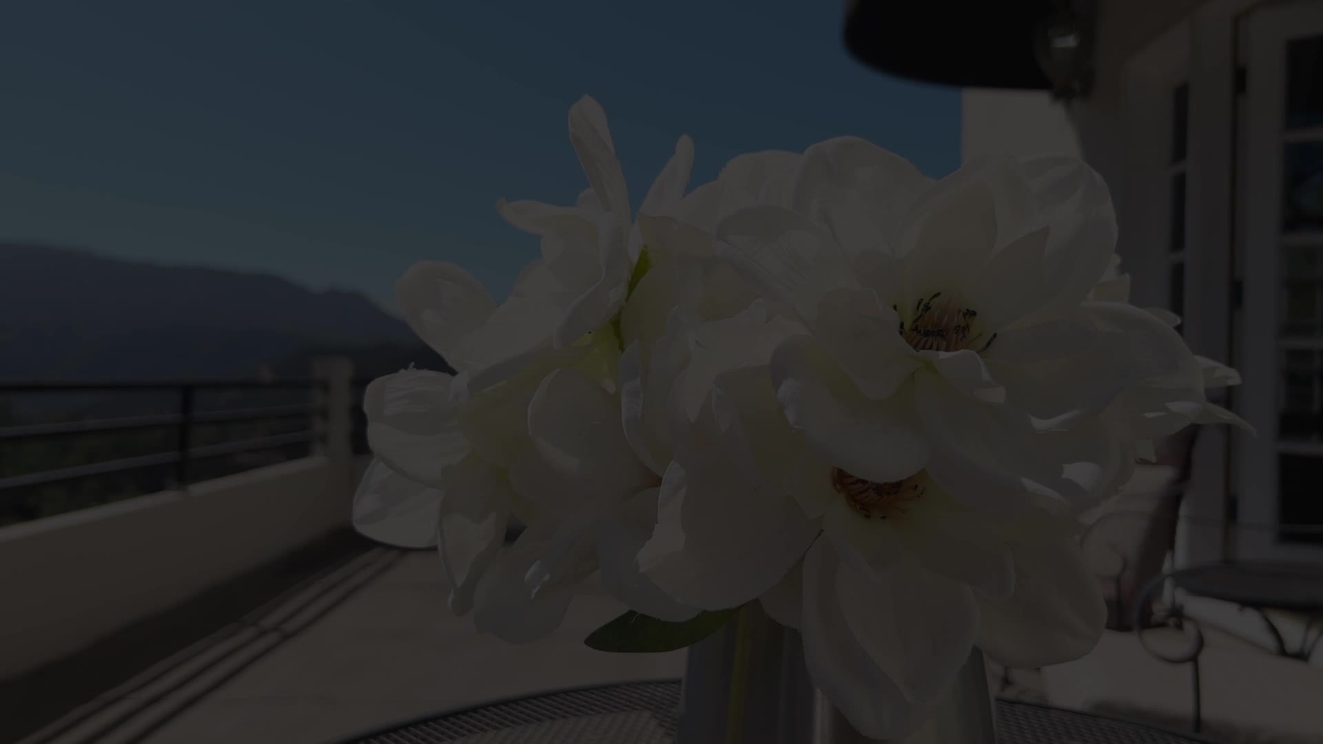 Video 1372523 from Rachael Cavalli