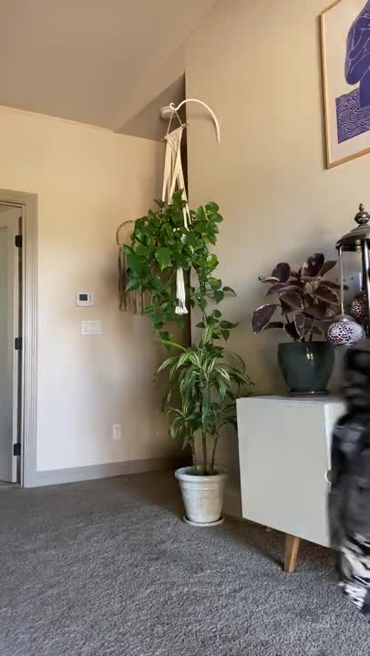 Video 1373825 from stephinspace