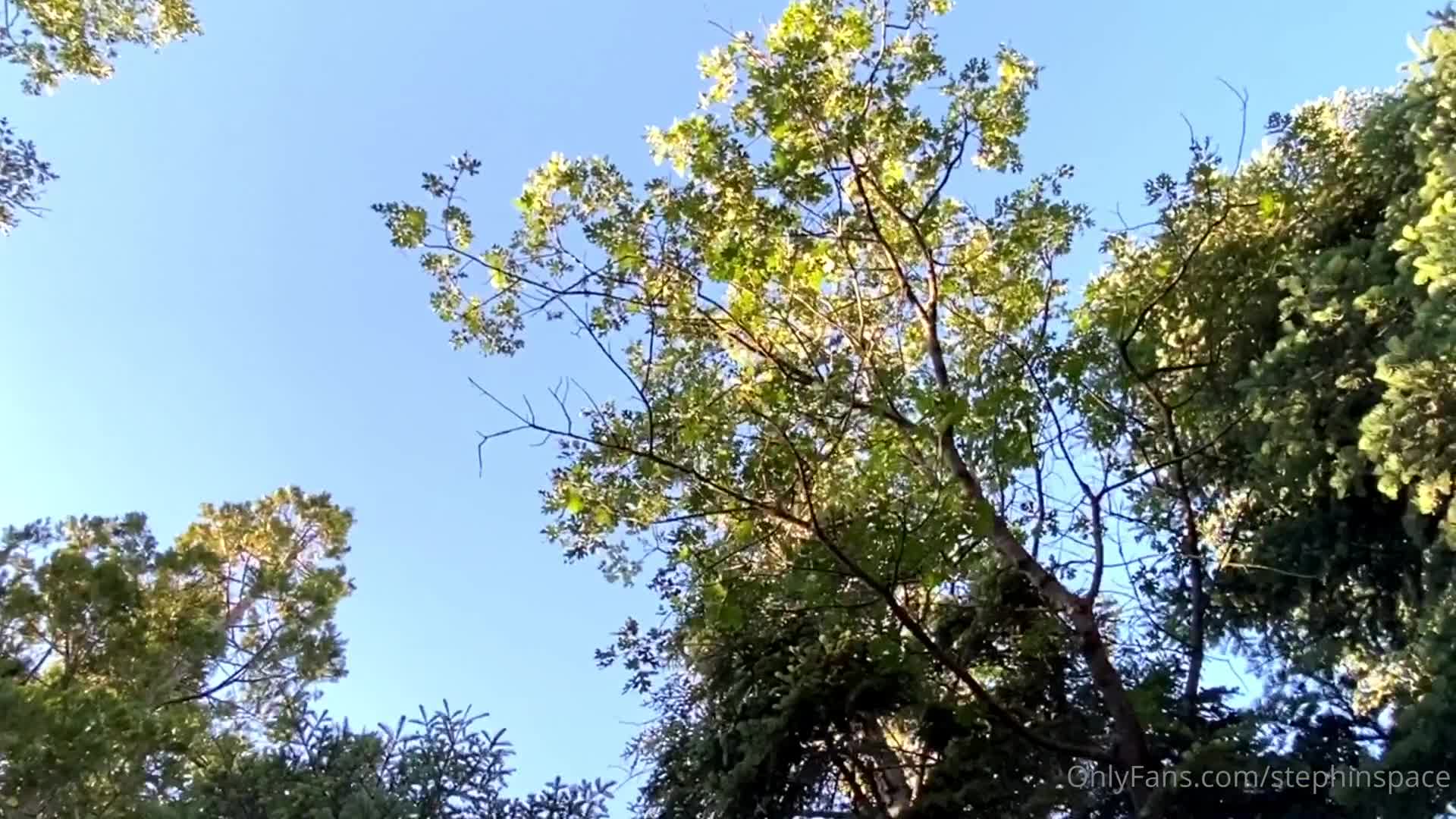 Video 1373850 from stephinspace