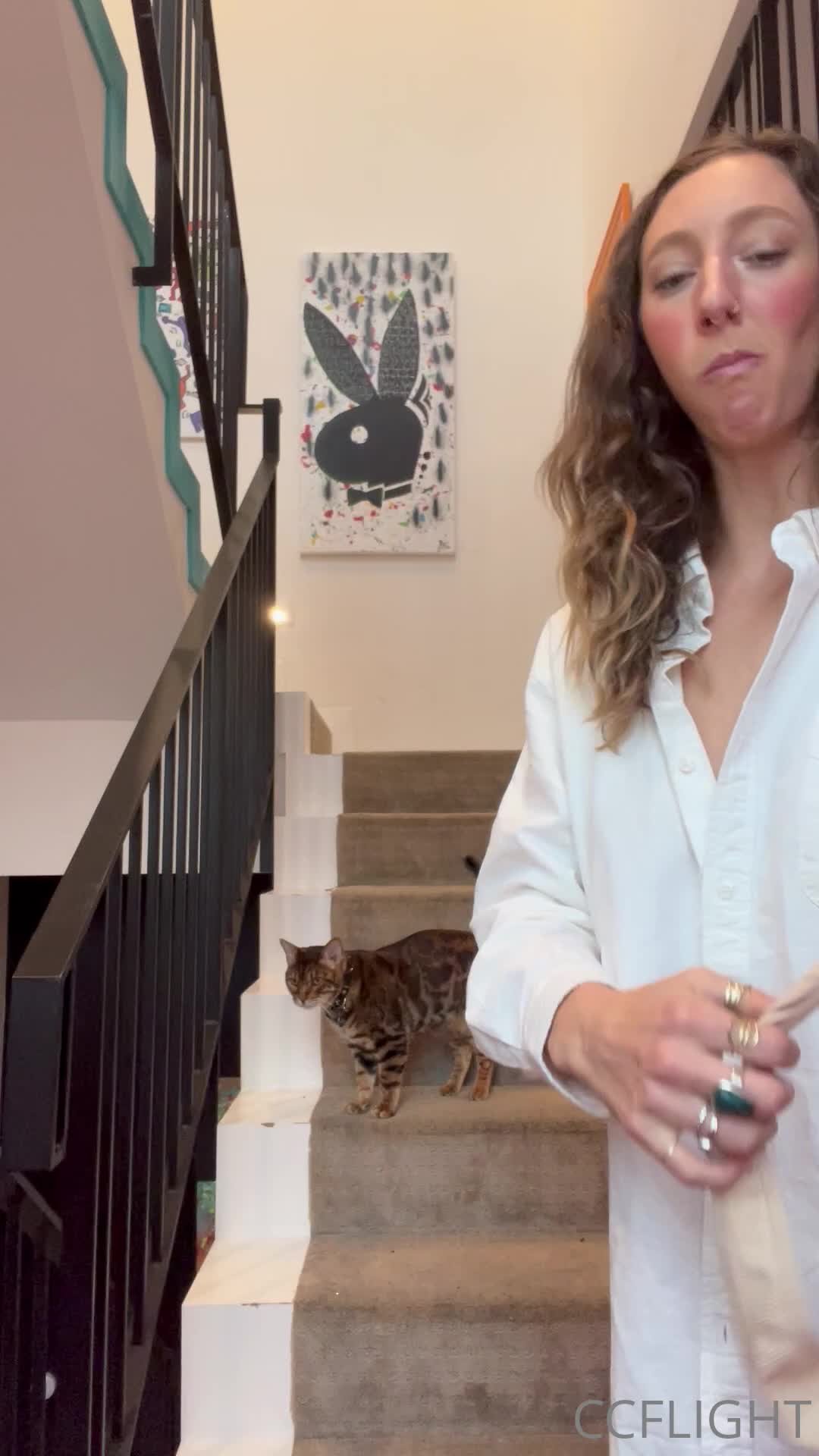 Video 1373915 from stephinspace